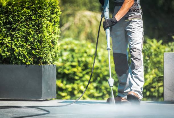 Best Solar Panel Cleaning  in Brunswick, MD