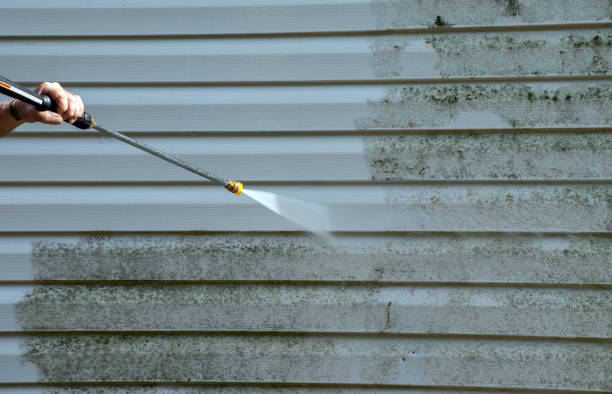 Best Driveway Pressure Washing  in Brunswick, MD