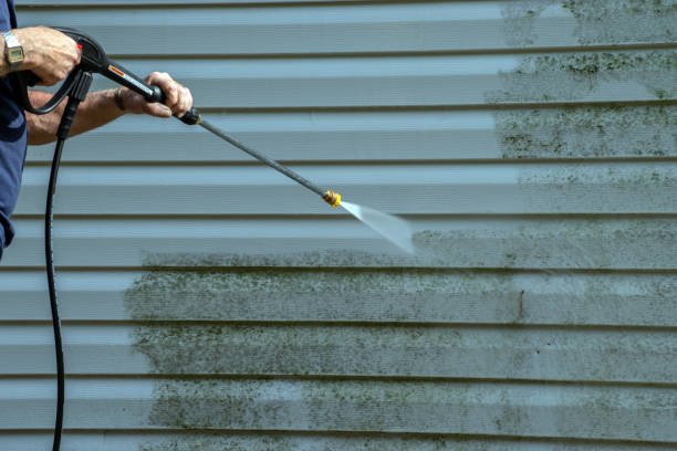 Best Patio and Deck Pressure Washing  in Brunswick, MD