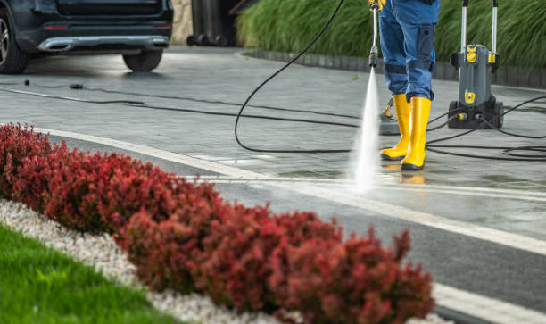 Best Building Exterior Washing  in Brunswick, MD